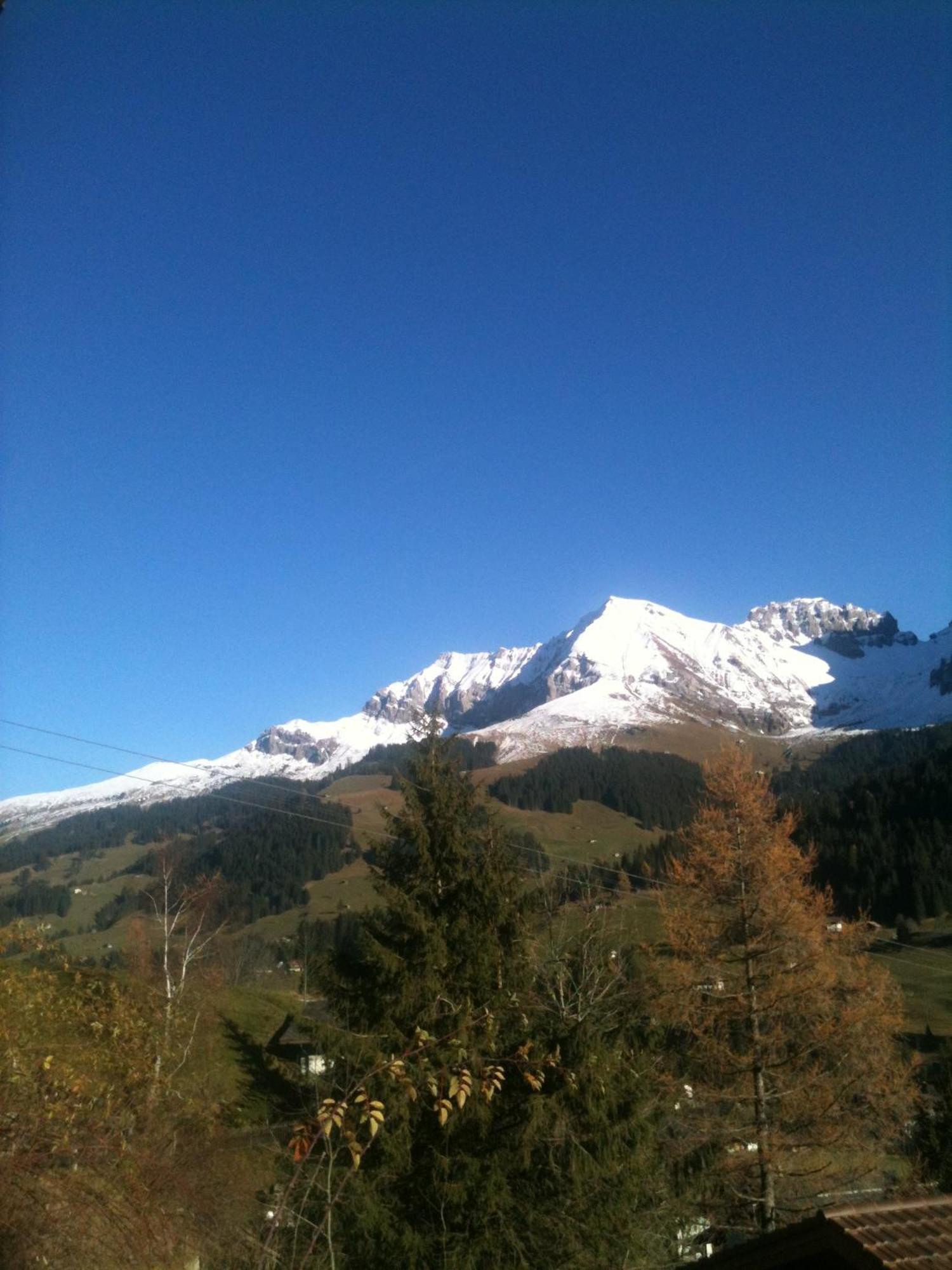Oeystrasse 10A Apartment Adelboden Luaran gambar