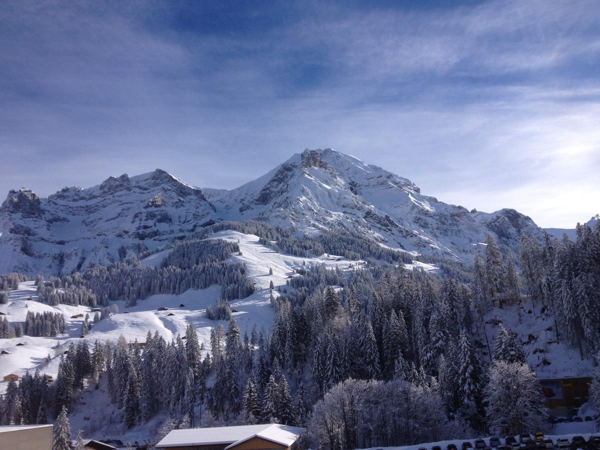 Oeystrasse 10A Apartment Adelboden Luaran gambar